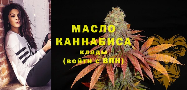 дживик Вязьма
