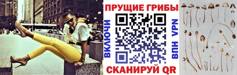 Галлюциногенные грибы Magic Shrooms  Северск 